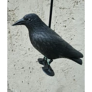 Galambriasztó varjú (műanyag)