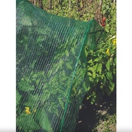  RASCHEL - Árnyékoló raschel háló 7,5 x 50 m zöld (36g/m2)